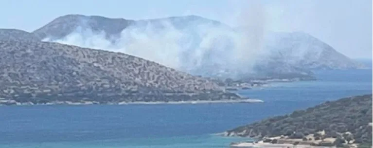 Συναγερμός στην Παλαιά Φώκαια – Εκκένωση με 112 – Η φωτιά πλησιάζει σπίτια
