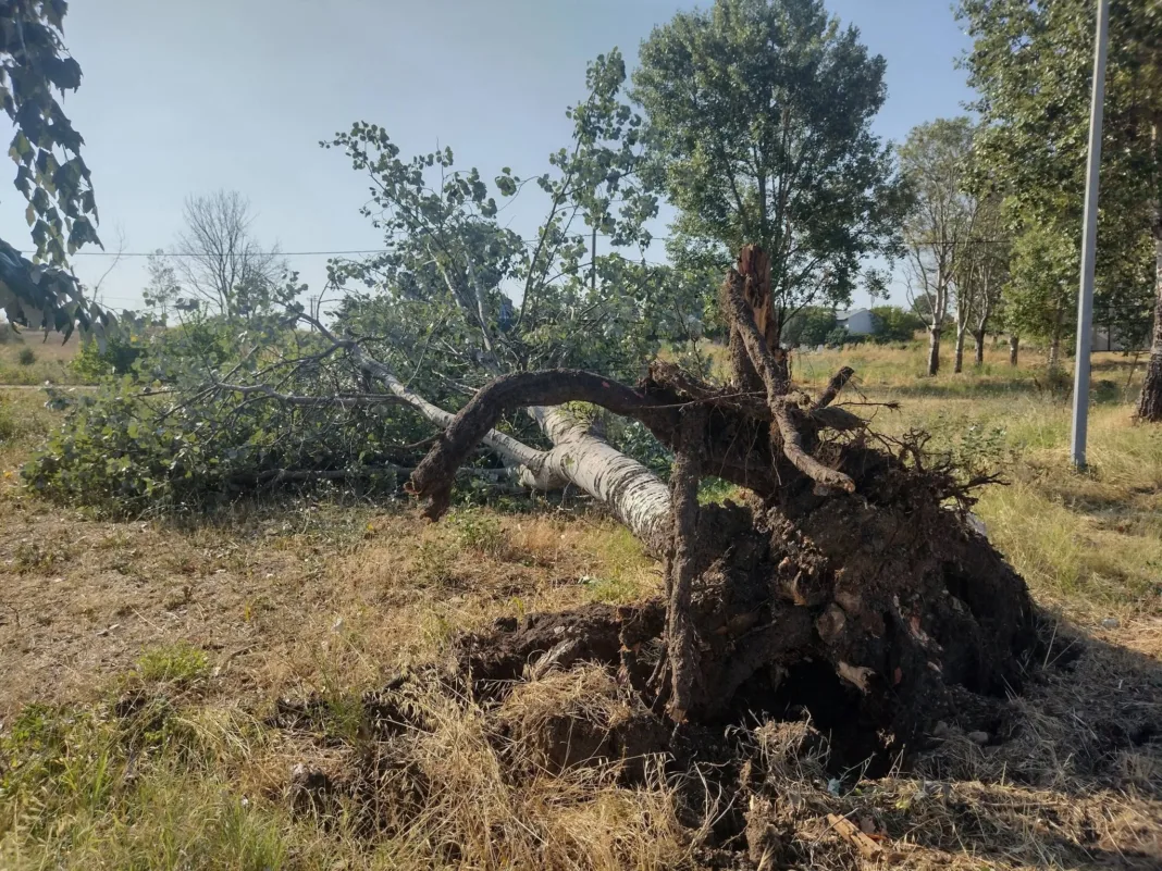 Εικόνες καταστροφής σε Φανάρι και Αρωγή από βραδινό μπουρίνι – Η εξήγηση Αρναούτογλου