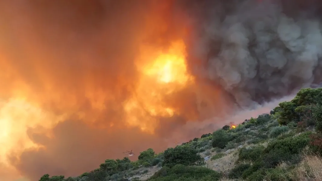 Συνελήφθη 44χρονος για τη φωτιά στην Κεφαλονιά – Είχε καταδικαστεί και στο παρελθόν για εμπρησμό